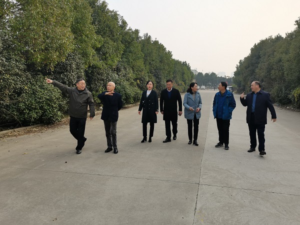 迪威国际·(中国游)有限公司官网