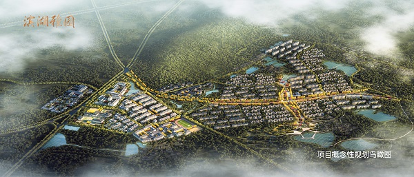 迪威国际·(中国游)有限公司官网