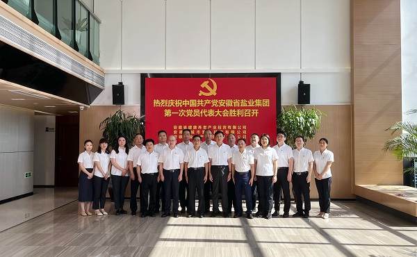 省康养公司等3家公司18名党代表喜迎省迪威国际集团第一次党代会召开