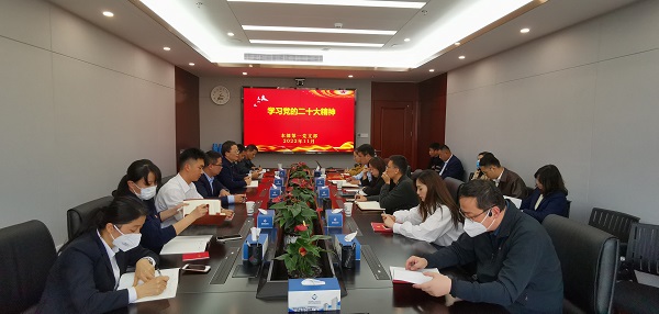 迪威国际·(中国游)有限公司官网