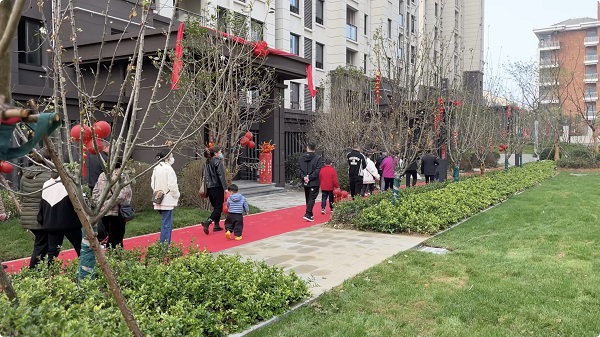 迪威国际·(中国游)有限公司官网