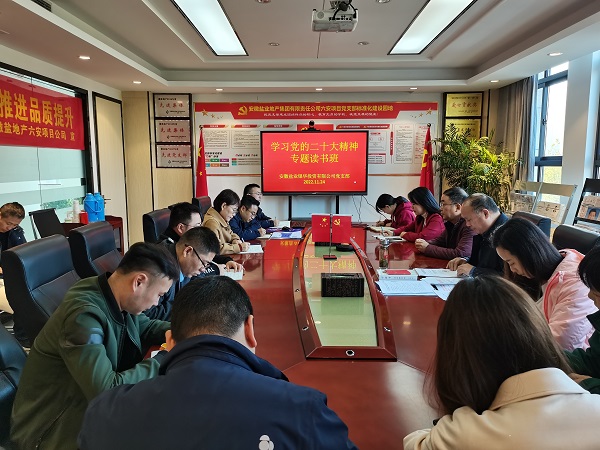 迪威国际·(中国游)有限公司官网