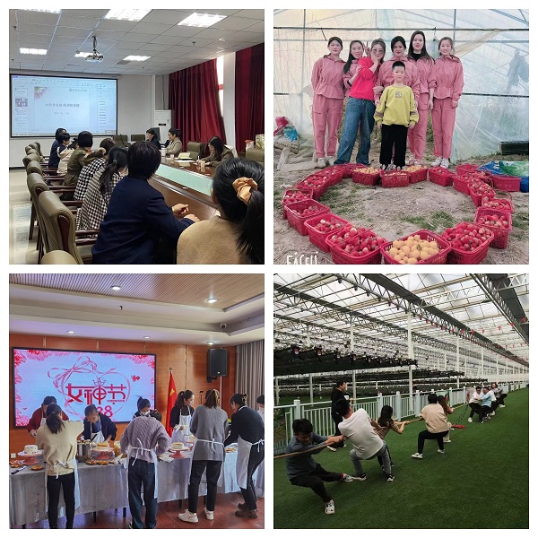 迪威国际·(中国游)有限公司官网