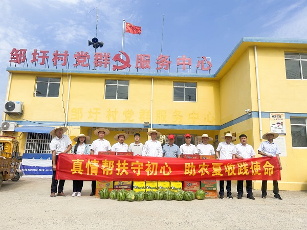 迪威国际·(中国游)有限公司官网