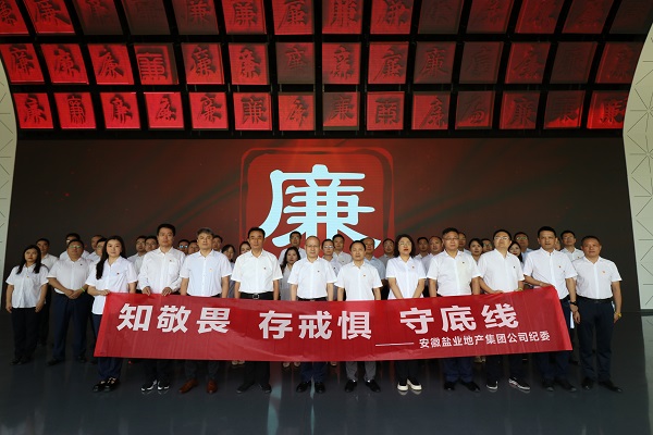 迪威国际·(中国游)有限公司官网