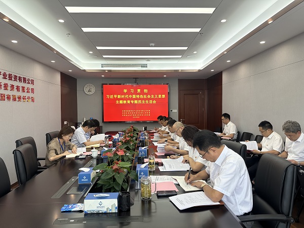 安徽迪威国际地产集团等三家公司党委召开学习贯彻习近平新时代中国特色社会主义头脑主题教育专题民主生涯会