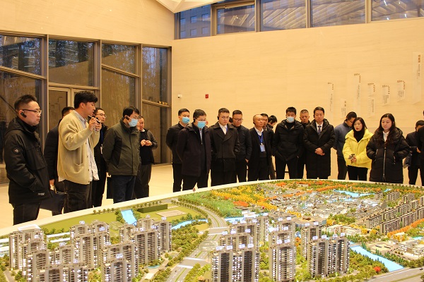 迪威国际·(中国游)有限公司官网