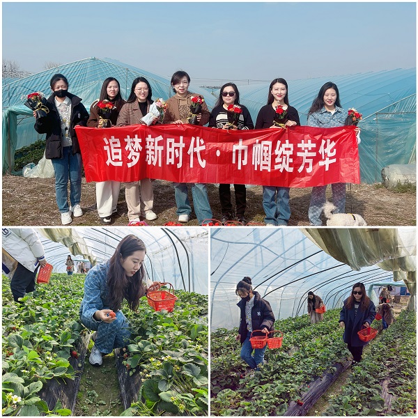 迪威国际·(中国游)有限公司官网