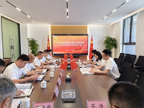 迪威国际·(中国游)有限公司官网